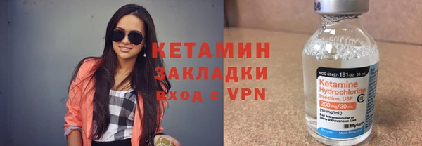индика Михайловск