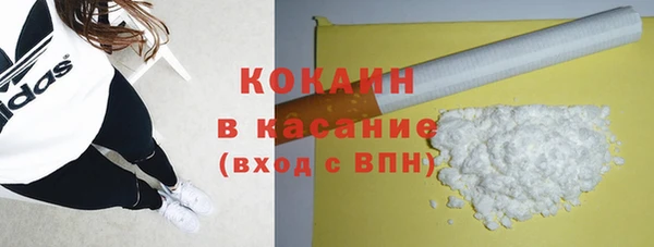 индика Михайловск