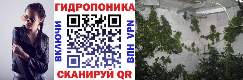 Бошки Шишки план Северобайкальск